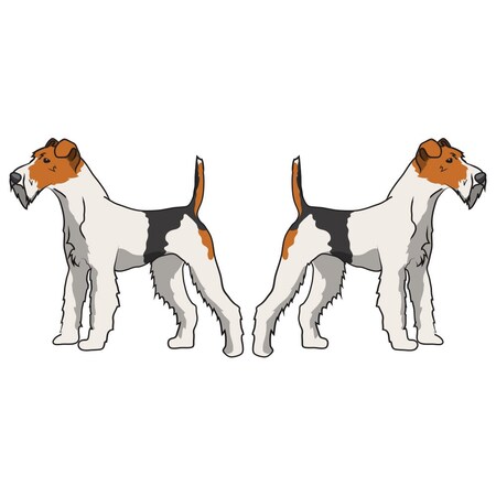 Signmission Wire Fox Terrier Dog Decal, Dog Lover Decor Vinyl Sticker D-18-Wire Fox Terrier